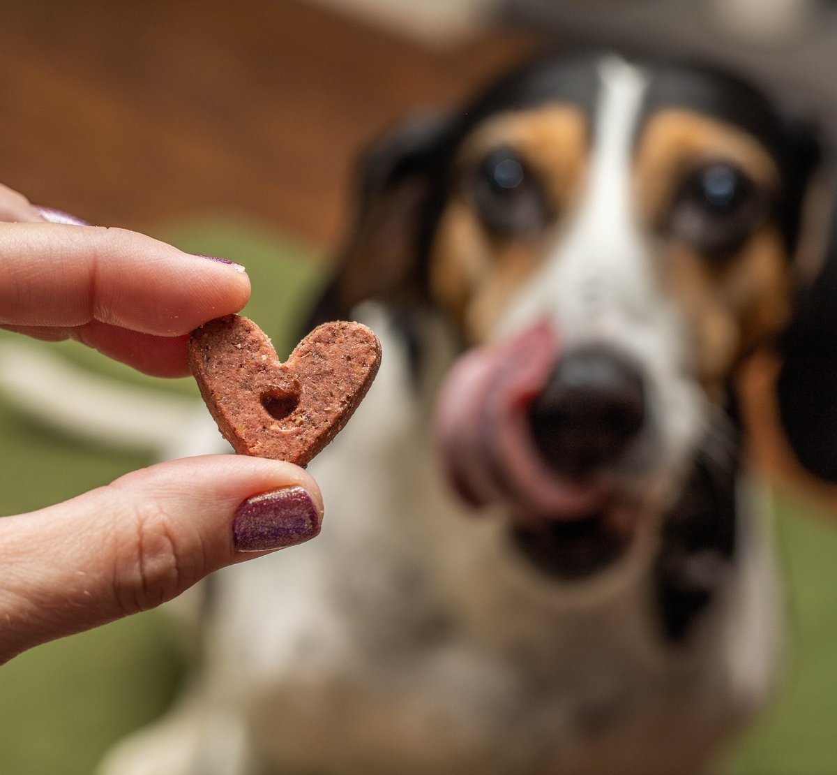 Exclusively Dog Harvest Blends， Cranberry N' Carrot Flavored Dog Treats