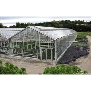Ejoy 72 in. L x 27.5 in. W x 0.31 in. Corrugated Polycarbonate Plastic Clear Twin Wall Roofing Panel (Set of 4-Piece) TwinWall_TWPSC72x24_8mm_4pc