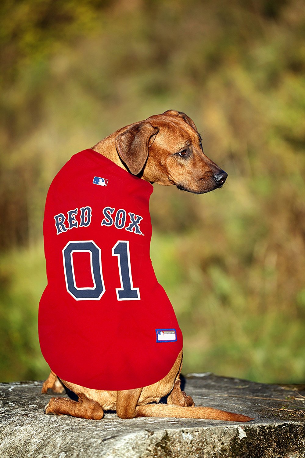 Pets First MLB Boston Red Sox Mesh Jersey for Dogs and Cats - Licensed Soft Poly-Cotton Sports Jersey - Large