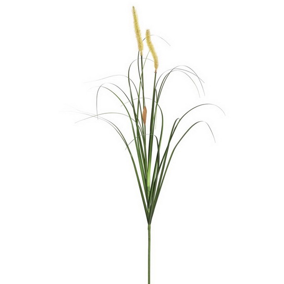 Vickerman Green Foxtail Grass Spray 4/Pk