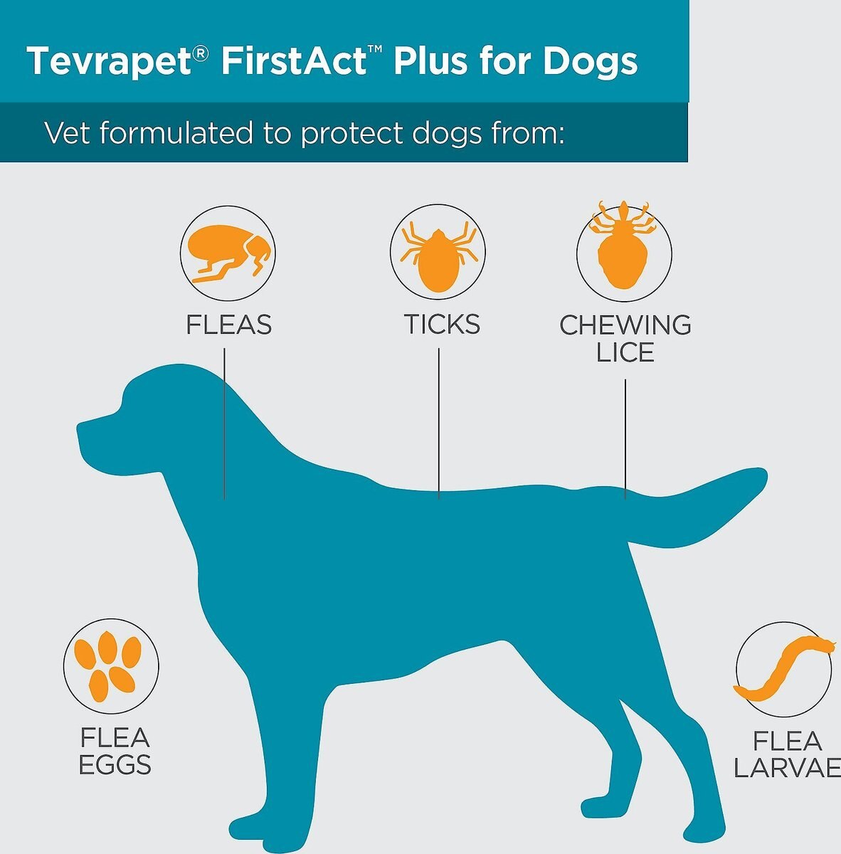 TevraPet FirstAct Plus Flea and Tick Spot Treatment for Dogs， 6 - 22 lbs