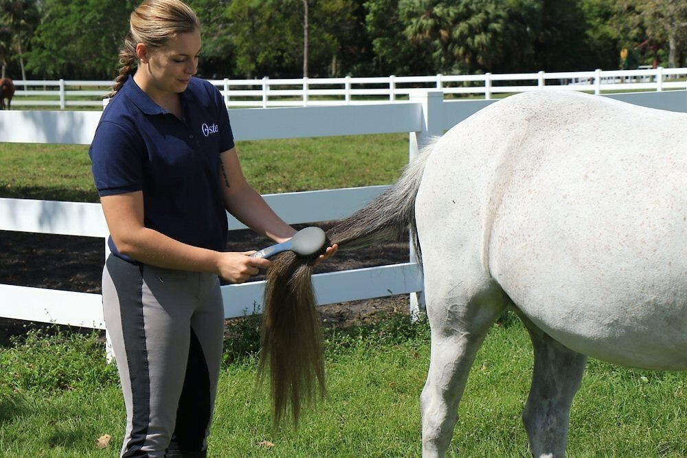 Oster Equine Care Mane and Tail Horse Brush