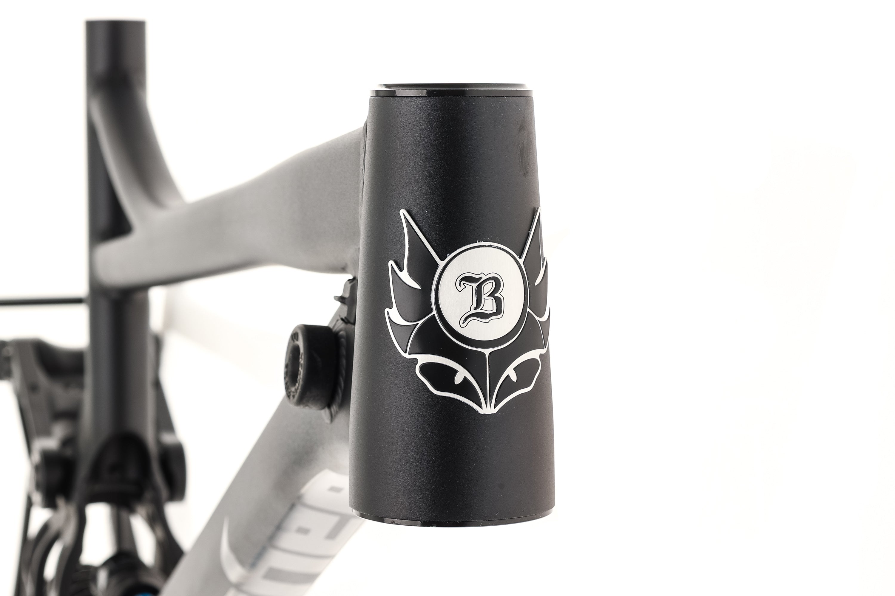 Banshee Legend 29er DH Frameset - Black
