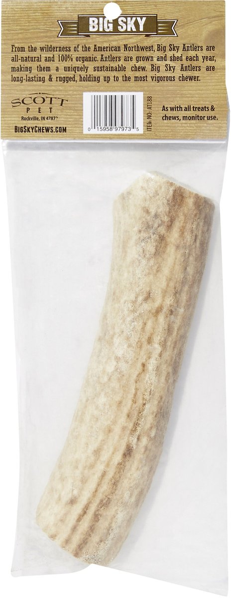 Big Sky Antler Chews Natural Elk Antler Splits Dog Chews， Large