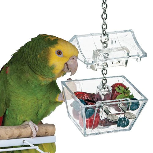 Parrot's Treasure Foraging Toy