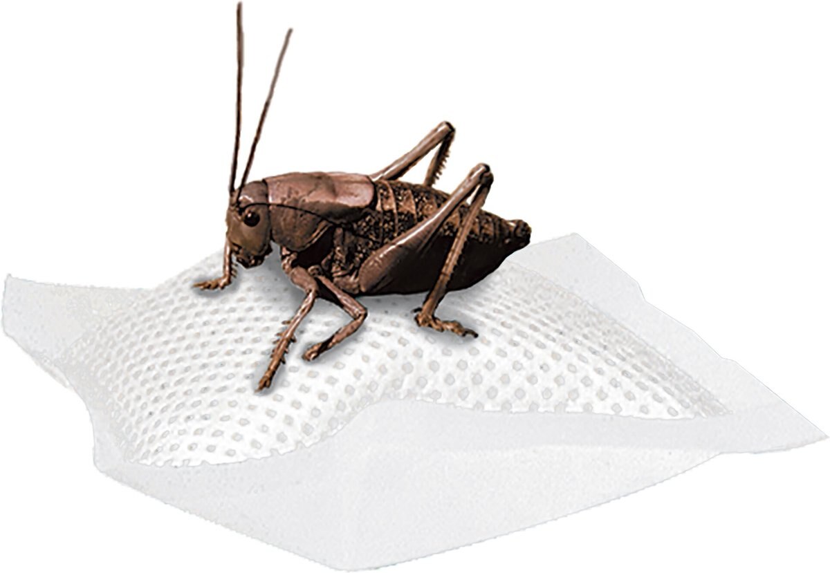 Zilla Reptile Cricket Water Pillows