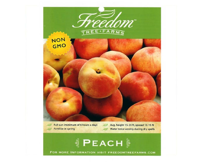 Freedom Tree Farms Rio Grande Yellow Peach Tree in 5 Gallon Bucket