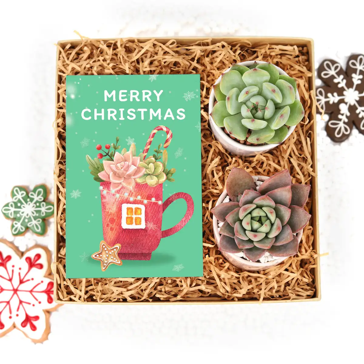 Unique And Beautiful Aesthetics Gift Boxes For Small Business Succulent Plants Candles Christmas Decoration Supplies