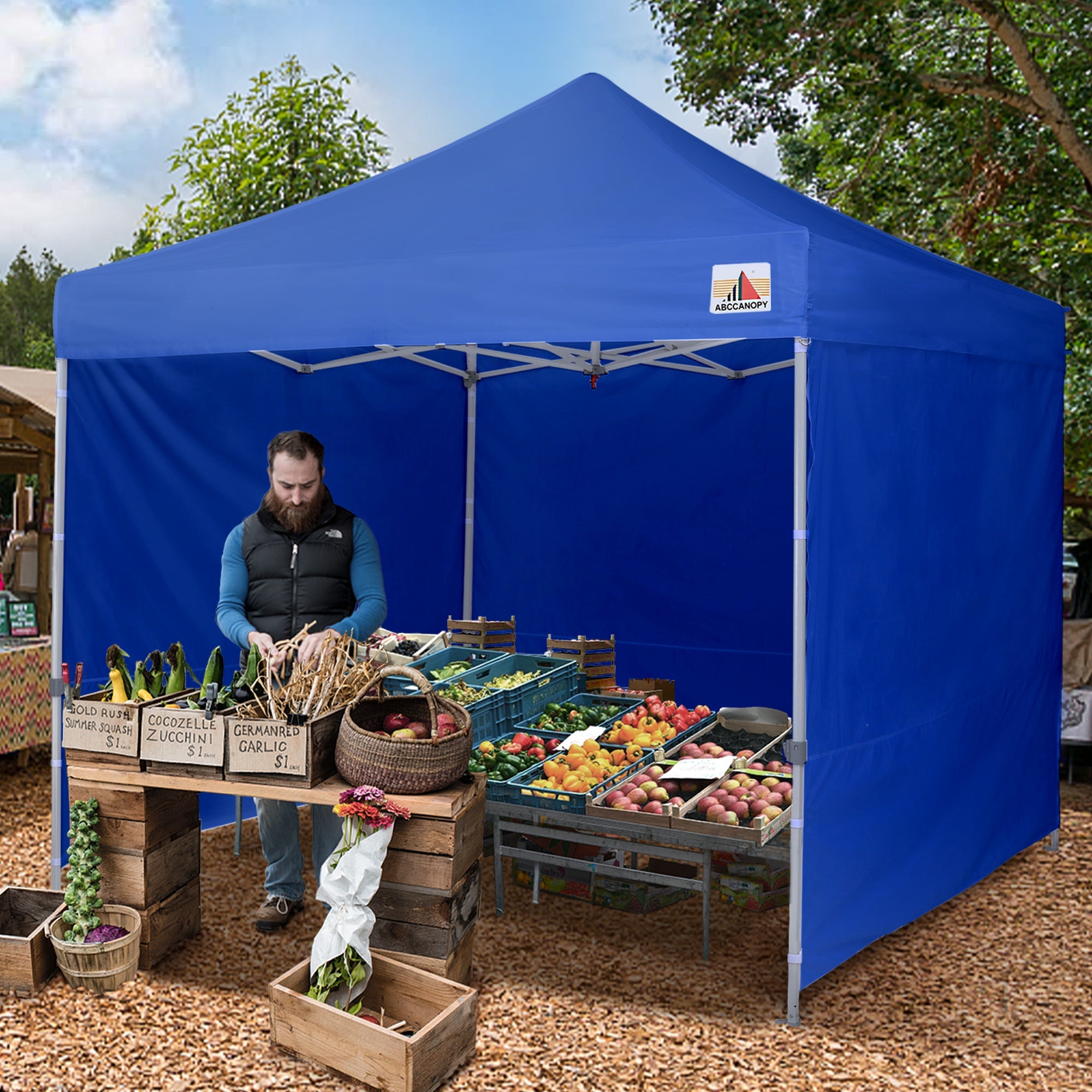 ABCCANOPY 10 ft x 10 ft Metal Pop-Up Commercial Canopy Tent with walls, Blue