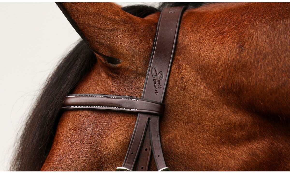 Equiline Scott Stewart Hunter Horse Bridle