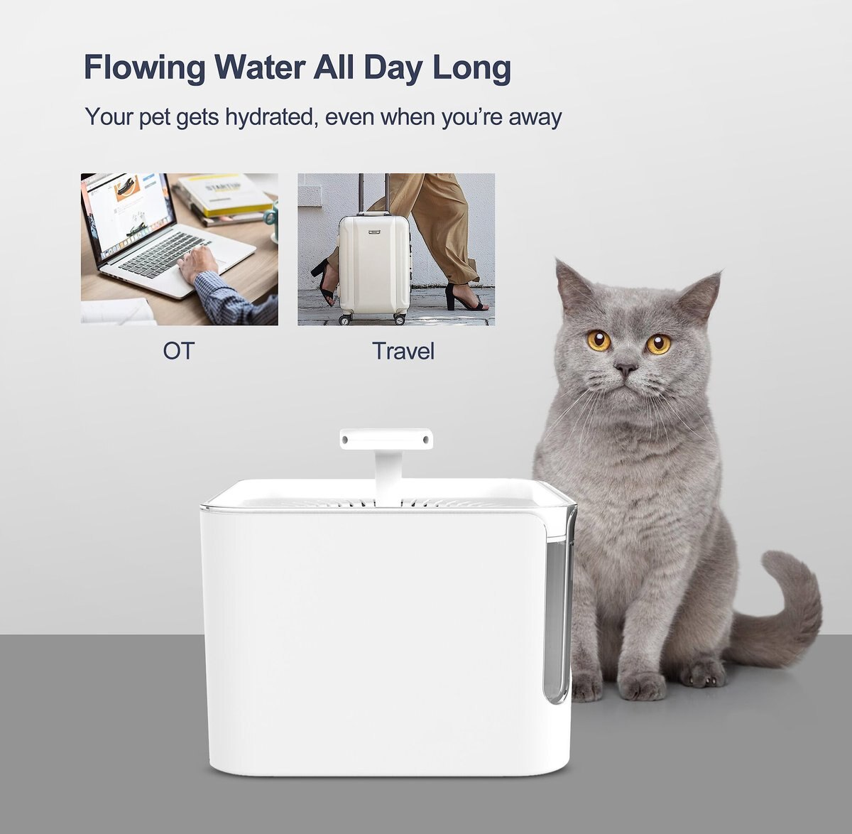 Petdiary Automatic Cat Water Fountain， White， Medium