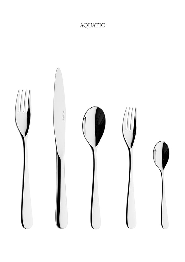 Aquatic 20 Piece Flatware Set