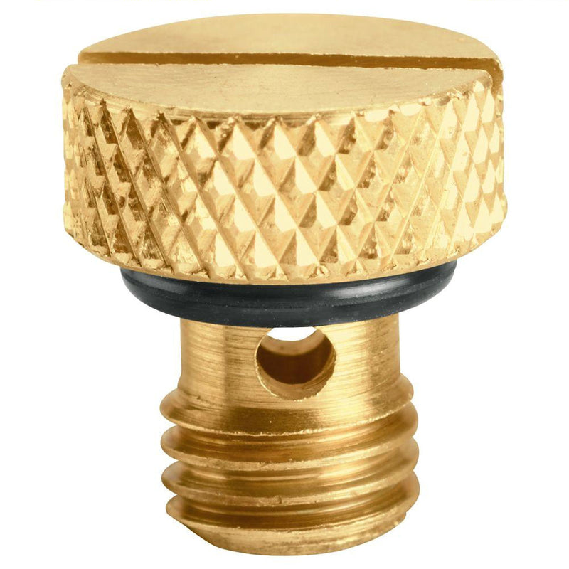 BLEED SCREW BRASS 2PK