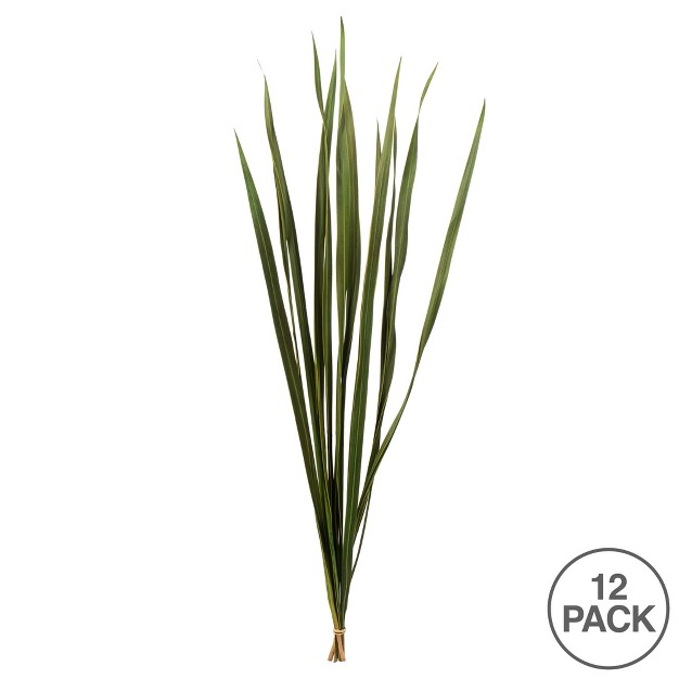 Snake Grass Dried 12 Stems