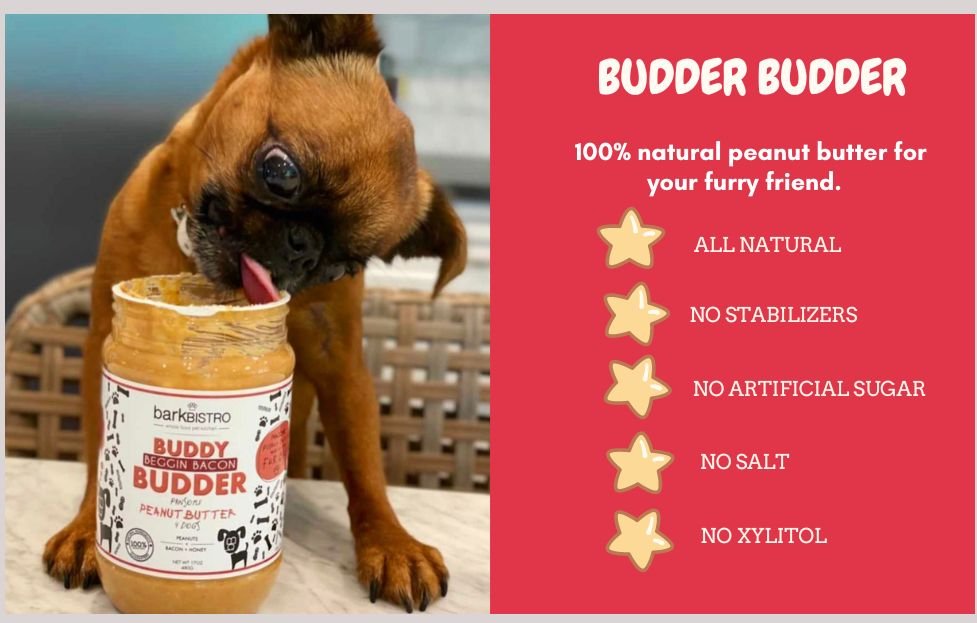 Bark Bistro Company Begging Bacon Buddy Budder Dog Lickable Treats， 17-oz jar