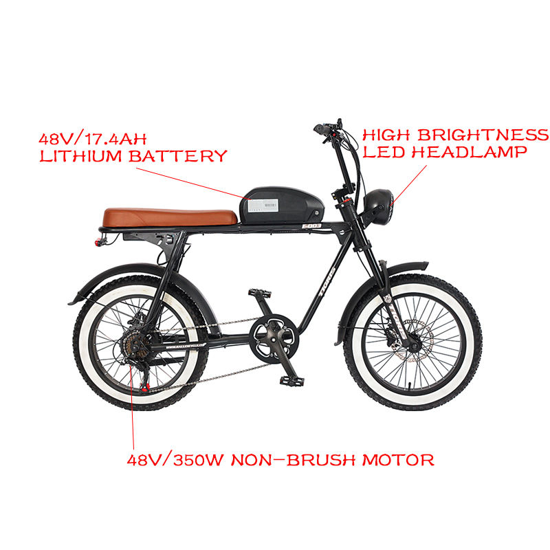 Wolf Super Retro Ebike New  E Bicycle Basikal Elektrik Electric 350w Long Range Bike