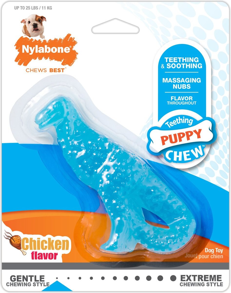 Nylabone Puppy Chicken Flavored Teething Dinosaur Puppy Chew Toy， Petite