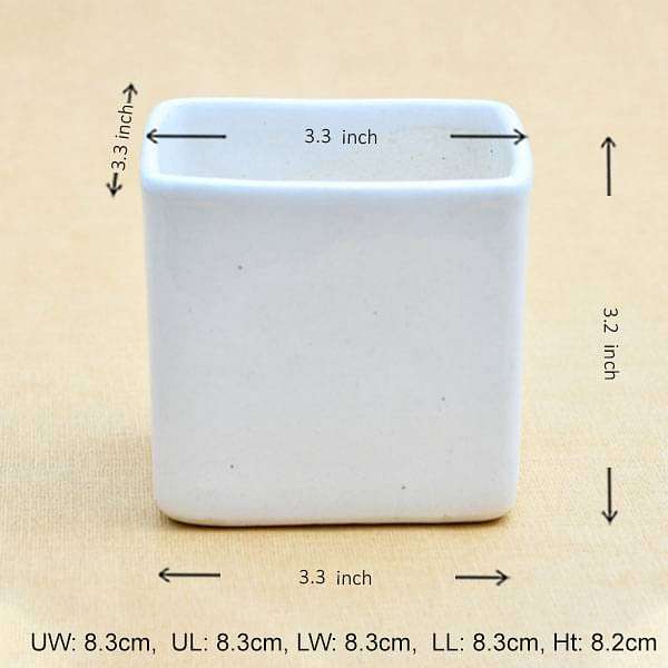 3.3 inch (8 cm) Square Box Ceramic Pot (White) (set of 2)