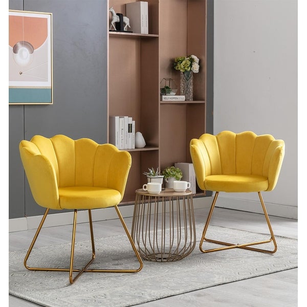 Modern Velvet Set Of 2 Living Room Chair