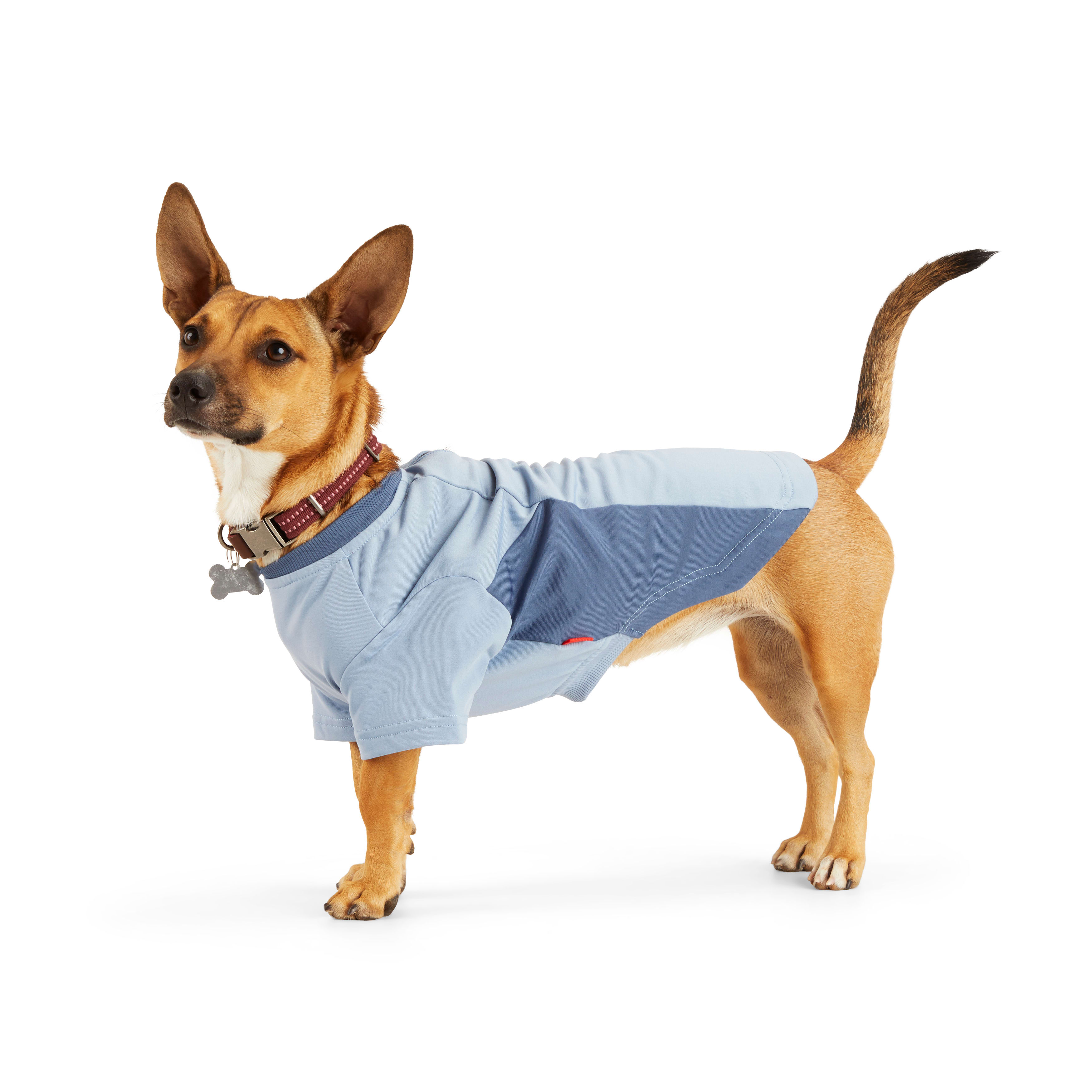 Reddy Blue Liner Dog Baselayer， 3X-Large