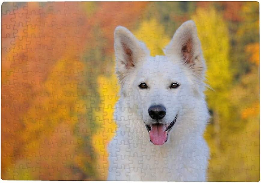 Colourlife Jigsaw Puzzles Artwork Gift For Adults Teens White Swiss Shepherd Dog In Autumn Wooden Puzzle Games 1000 Pieces， Multicolored