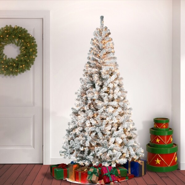 National Tree Company 7.5 ft. Acacia Flocked Tree with Clear Lights