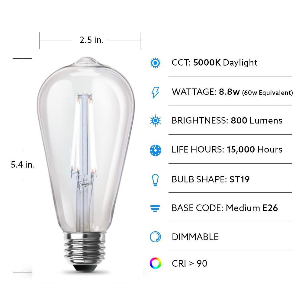 Feit Electric 60-Watt Equivalent ST19 (4-Pack) G30 (2-Pack) and 40-Watt T10L Vintage Edison LED Light Bulbs Bundle Set Daylight ST1960T10LSG3060950CAHDRP