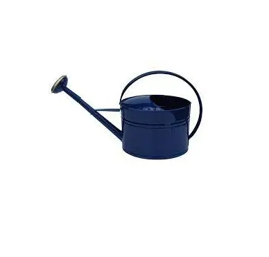 Hot selling Plant Flower Pot Watering Can Galvanized Iron Garden Watering Simple Metal Water Can