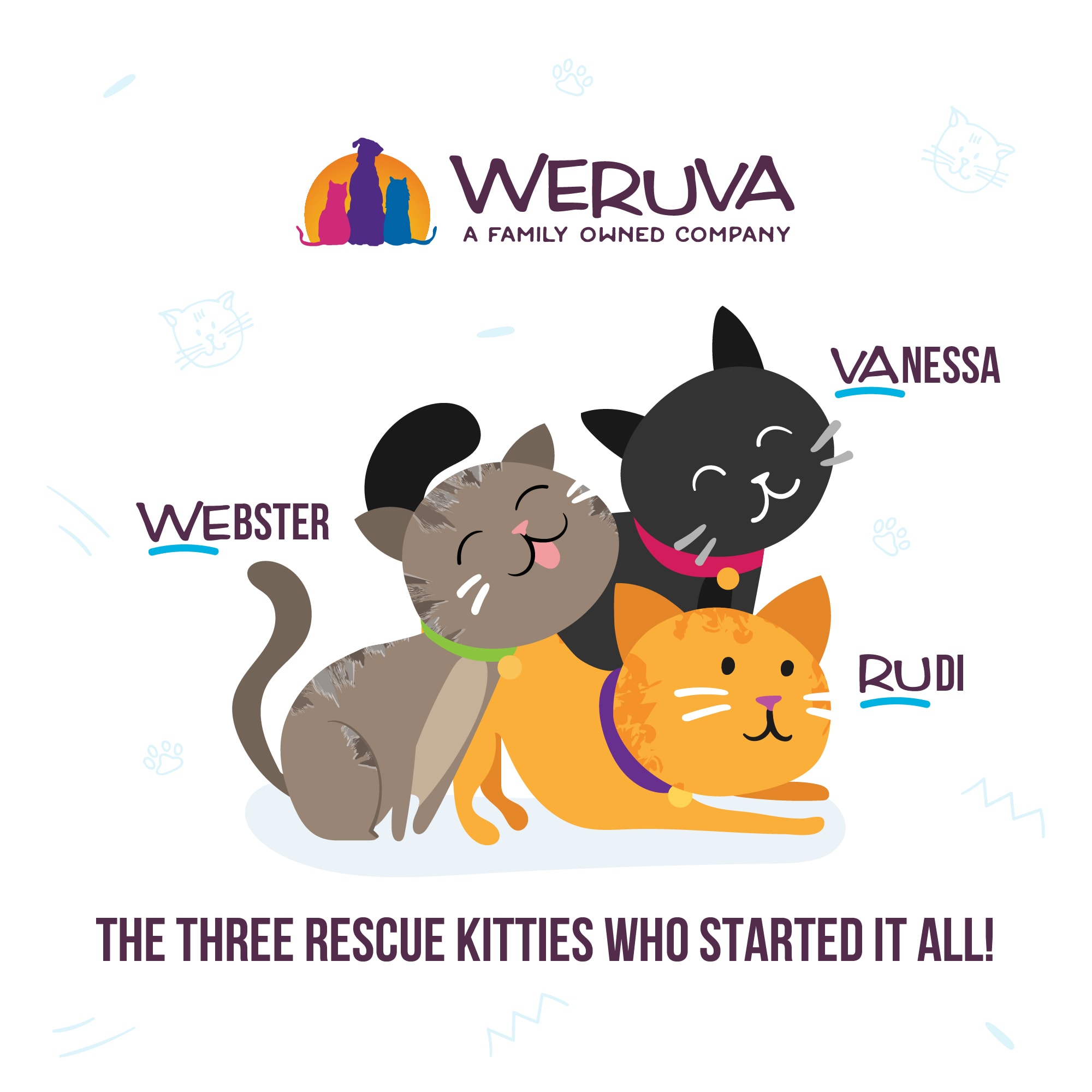 Weruva Classics Rudis Recipes Variety Pack Wet Cat Food， 5.5 oz.， Count of 12