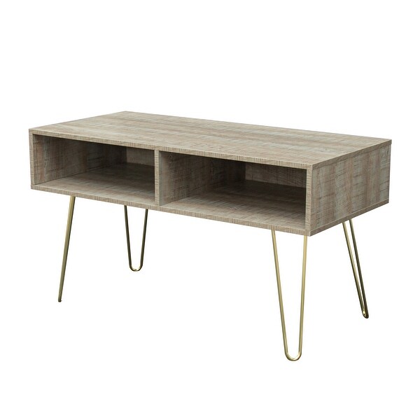 42 inch Modern Simple Small TV Stand with 2 CabinetandGolden Metal Legs