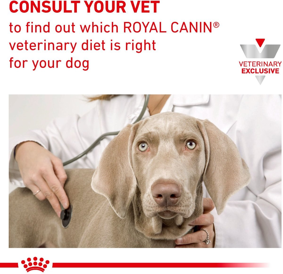 Royal Canin Veterinary Diet Adult Mature Consult Large Breed Dry Dog Food