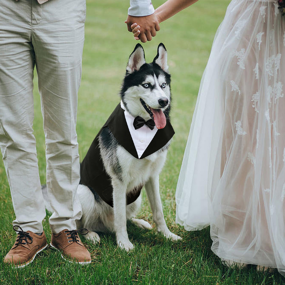 Kuoser Dog Tuxedo Dog Fromal Suit and Bandana Set Dog Wedding Suit for Large and Medium Dogs