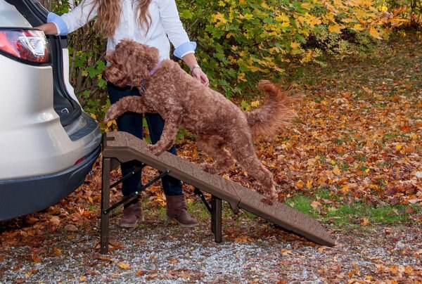 Pet Gear Free-Standing Extra Wide Carpeted Dog Car Ramp