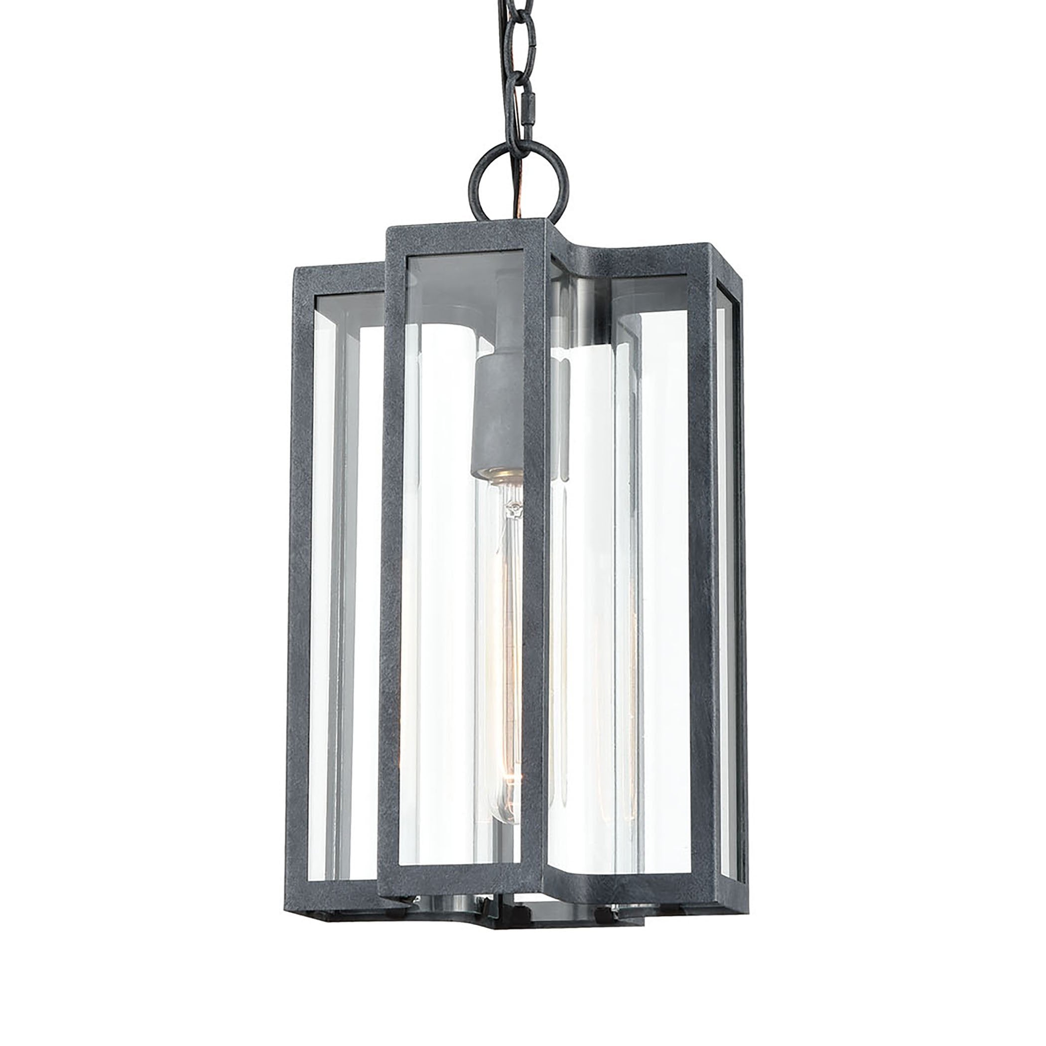 Bianca 1-Light Hanging in Aged Zinc with Clear