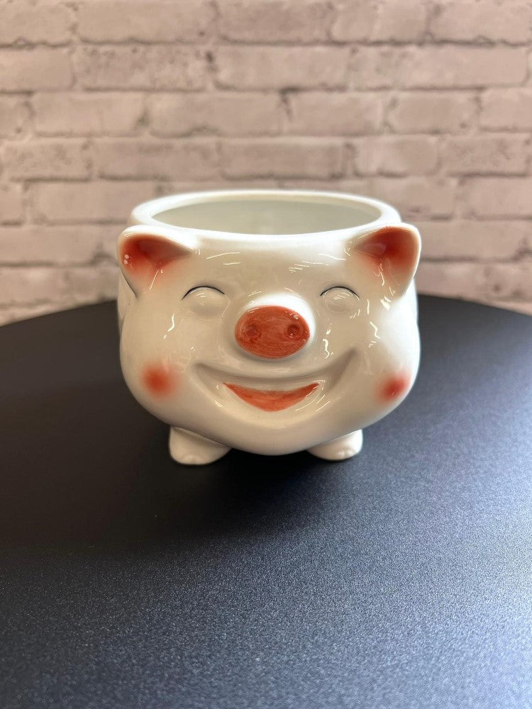 Cute Porky Ceramic Planter