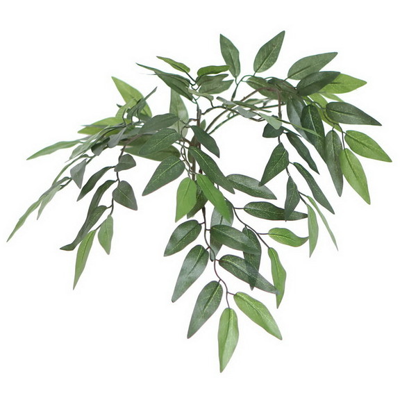 Vickerman Green Smilax Bush