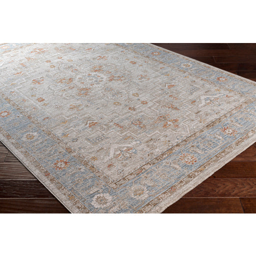 Avant Garde Blue & Taupe Rug