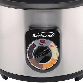 Brentwood 8-Cup Uncooked  16-Cup Silver Cooked Crunchy Persian Rice Cooker 985116291M