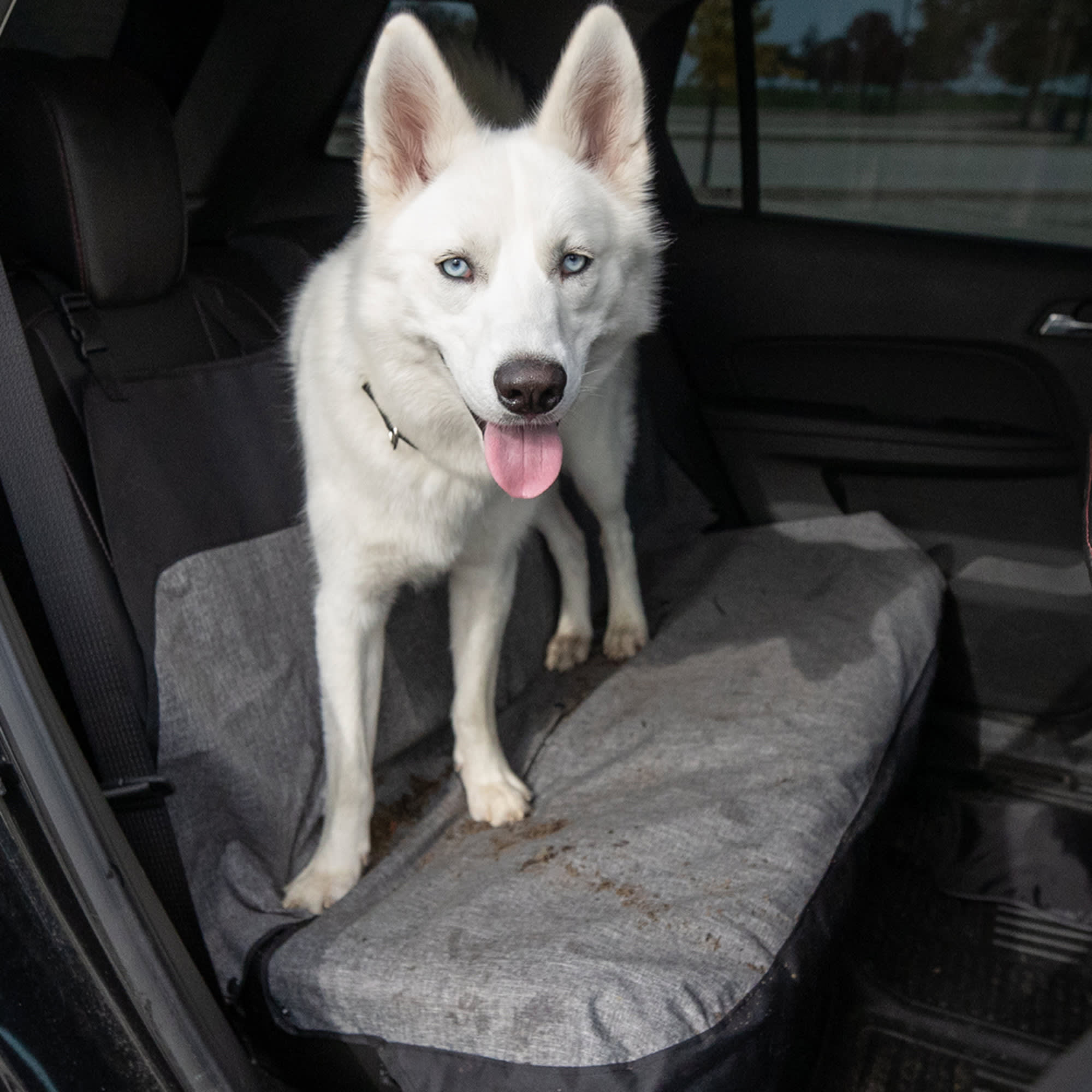 Bergan Auto Bench Grey/Black Seat Protector for Dogs