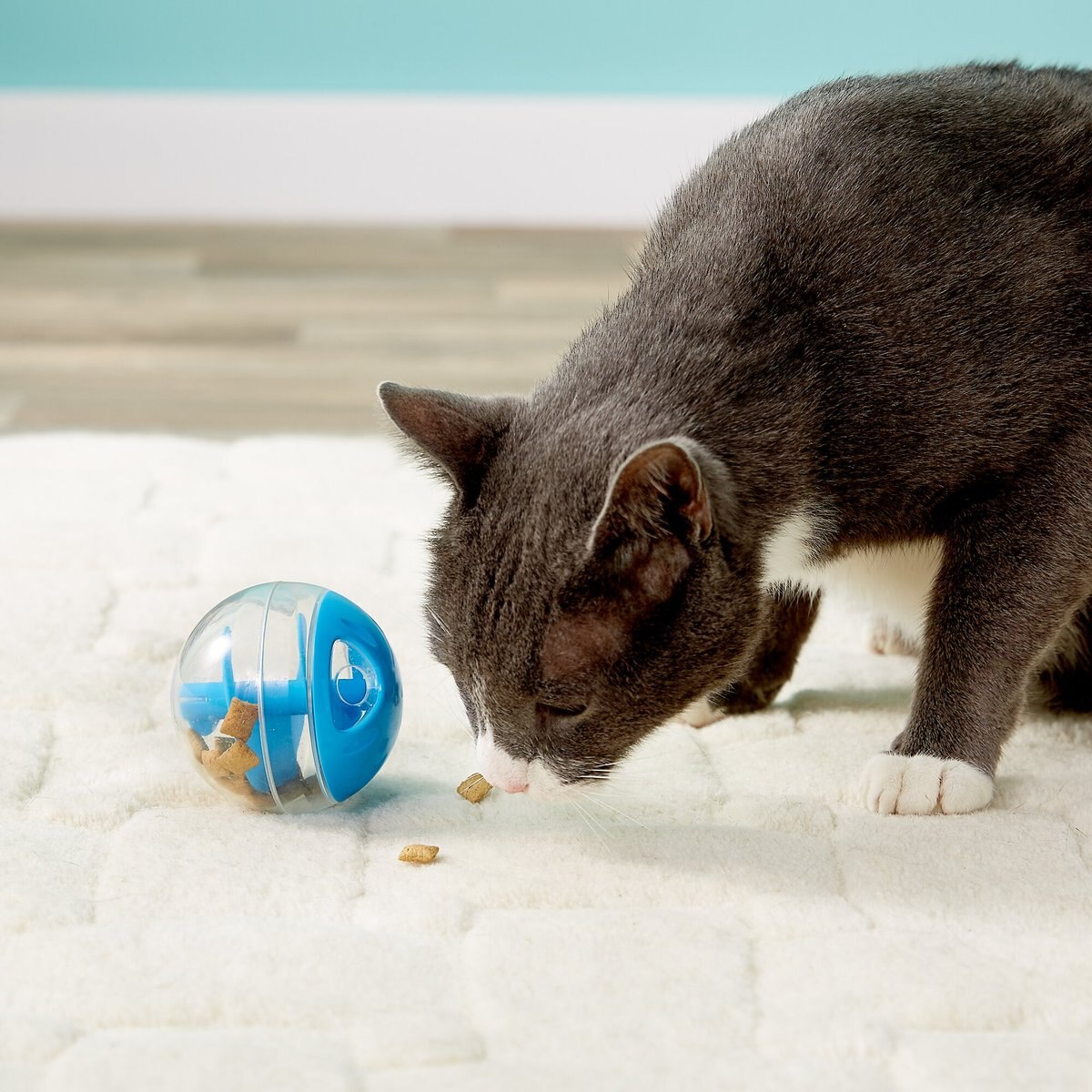 Catit Treat Ball Cat Toy