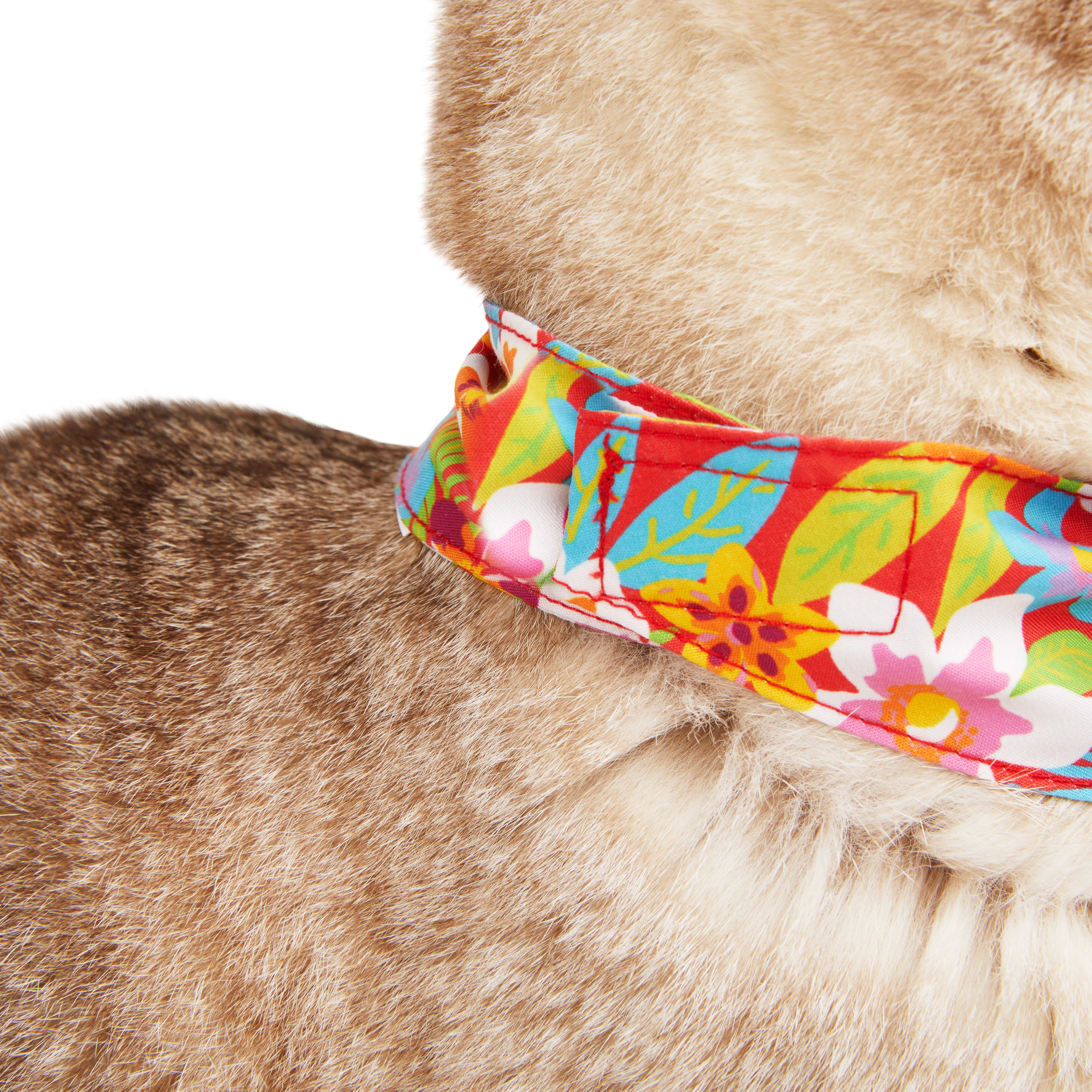 YOULY Cat Tropic Floral Bandana， Small/Medium