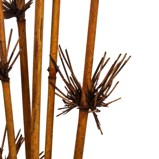 Star Bamboo Reed Stem Dried