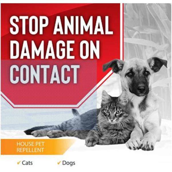 ANIMAL STOPPERS Dog and Cat Stopper Animal Repellent Gallon Ready-to-Use with Nested Sprayer WW-U-128