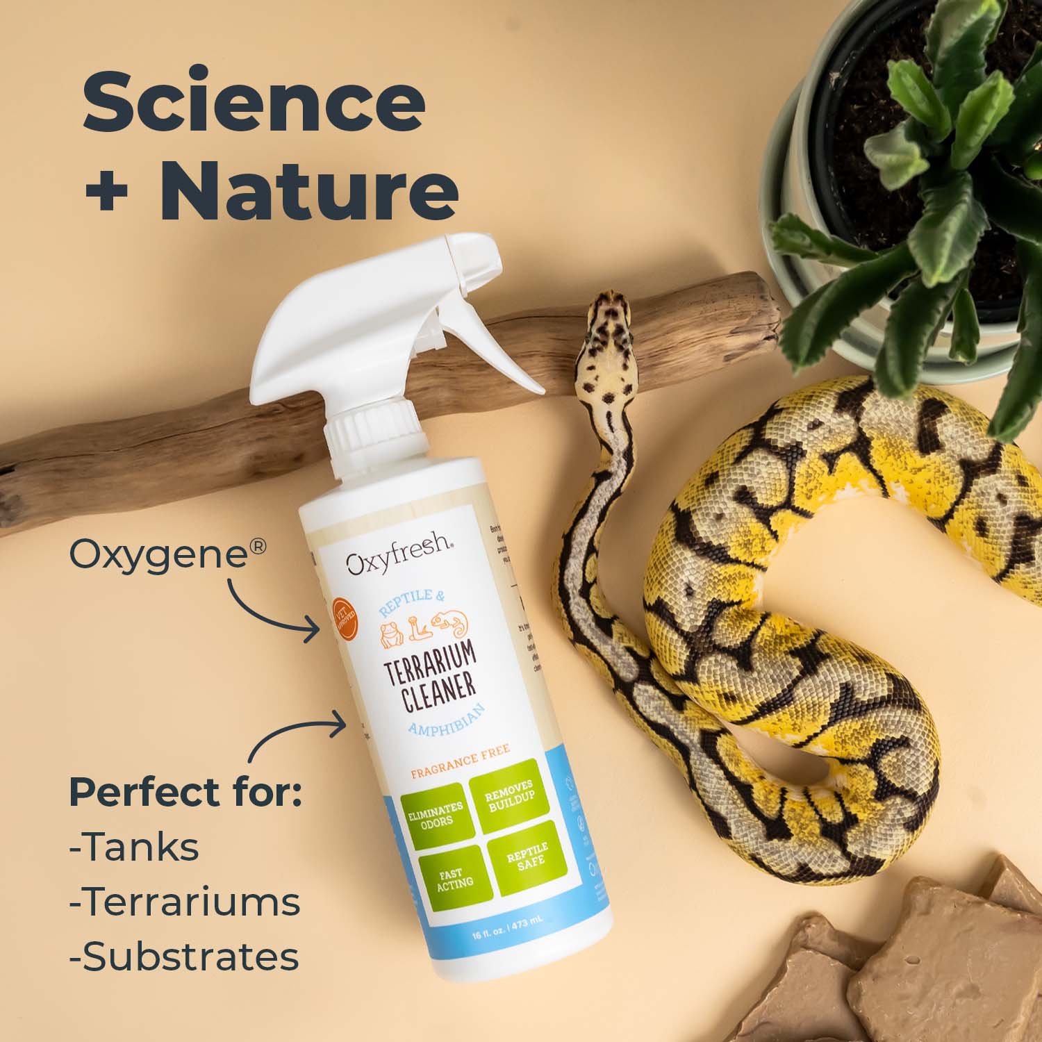 Premium Oxyfresh Terrarium Cleaner – Professional Amphibian and Reptile Terrarium Smell Eliminator – Safe and Quickly Removes Waste and Odors – Streak Free Glass – Bleach Free.