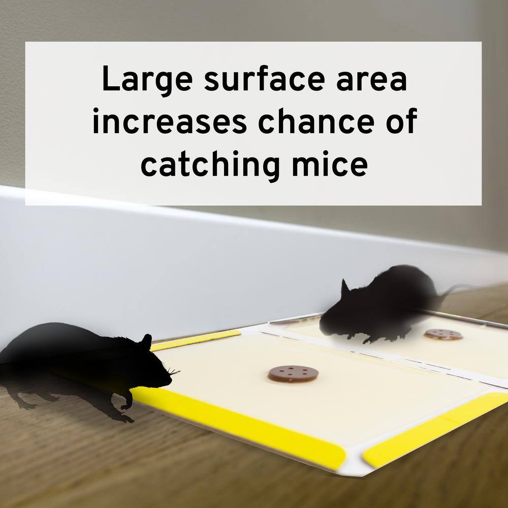 Victor Hold-Fast Disposable Mouse and Insect Glue Board Traps (4-Pack) M182