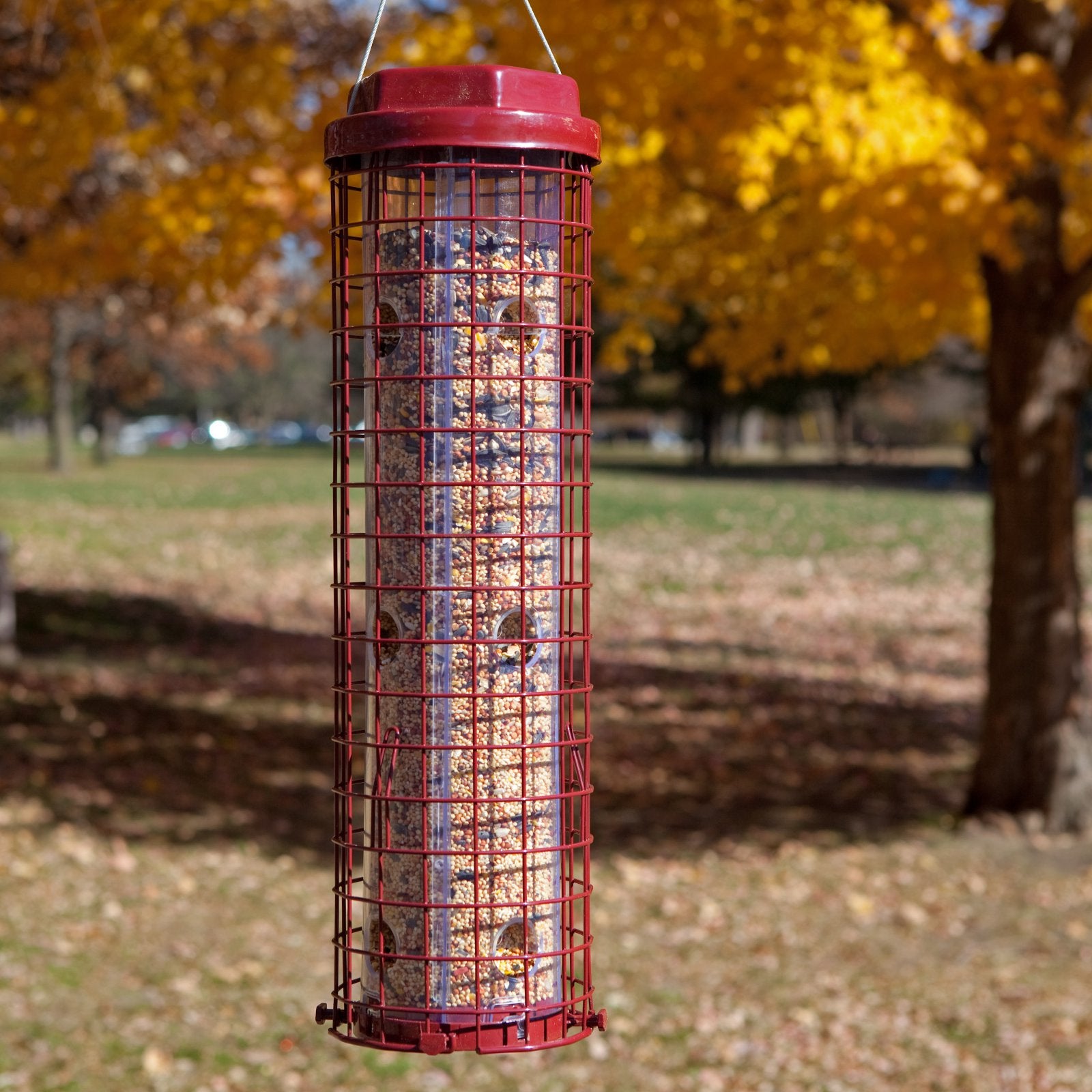 Perky-Pet Red Squirrel Resistant Easy Wild Bird Tube Feeder - 4 lb