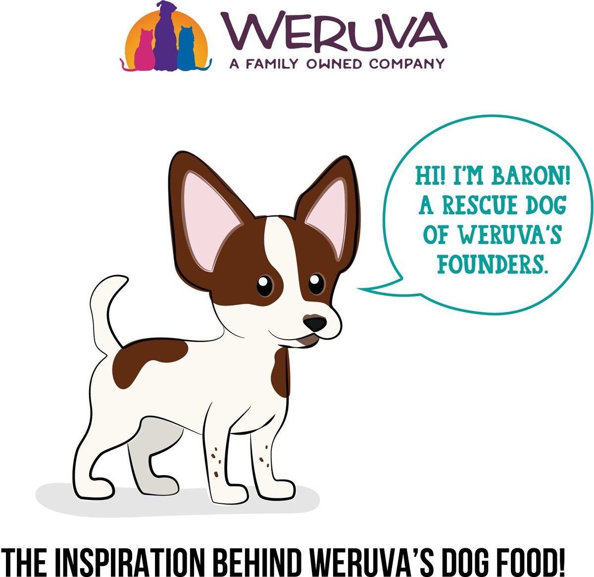 Weruva Dogs in the Kitchen Funk in the Trunk with Chicken Breast and Pumpkin Au Jus Grain-Free Canned Dog Food