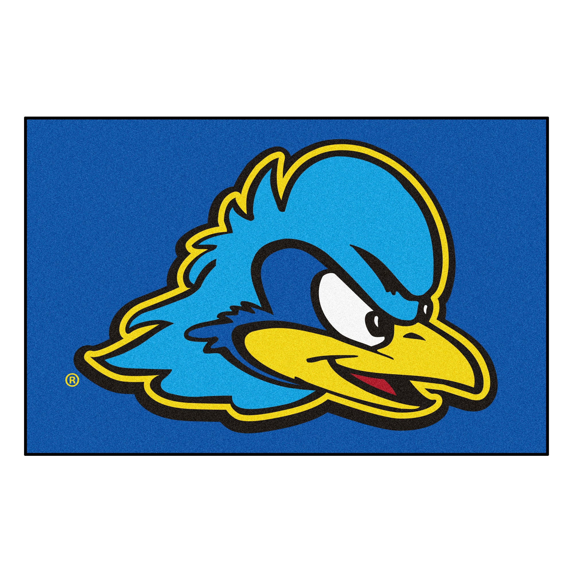 Delaware Fightin' Blue Hens 19