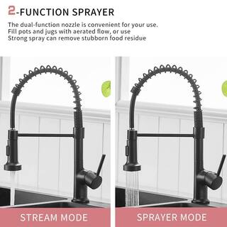 FLG Commercial Kitchen Sink Faucet with Pull Down Sprayer Spring Kitchen Faucets Single Handle Brass 1 Hole Taps Matte Black CC-0040-MB