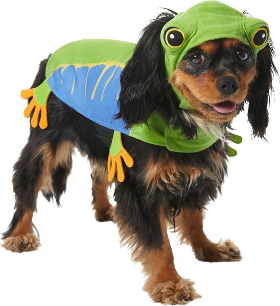 Frisco Frog Dog and Cat Costume